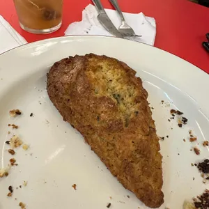 스코프 리뷰 사진