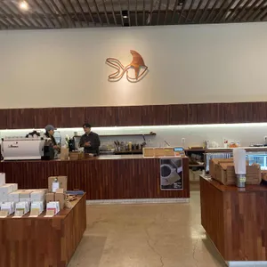 비브레이브 리뷰 사진