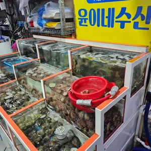 윤이네 수산 대표 사진
