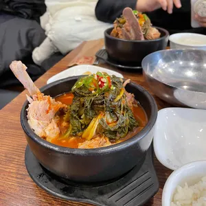 서울뼛국 사진