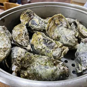지세포굴구이 리뷰 사진