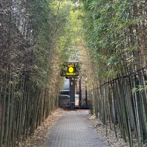 뉴욕라츠오베이글스 사진 2