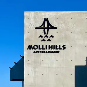 몰리힐스 리뷰 사진