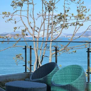 몰리힐스 리뷰 사진