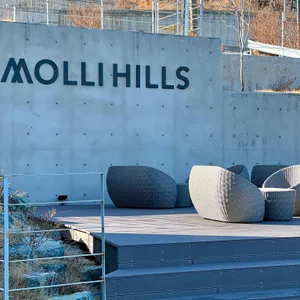 몰리힐스 리뷰 사진