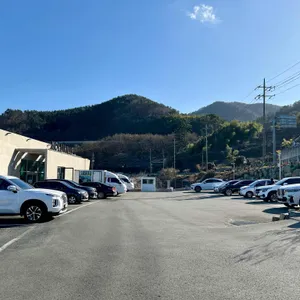 몰리힐스 리뷰 사진