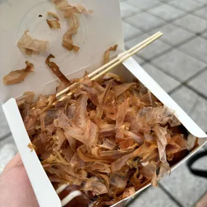 오타코 사진