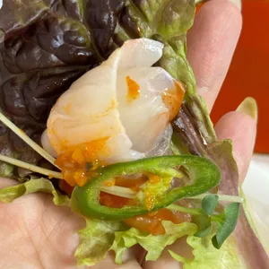 통통회 사진