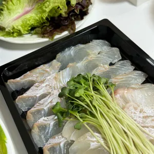 통통회 사진