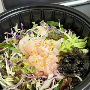 통통회 사진