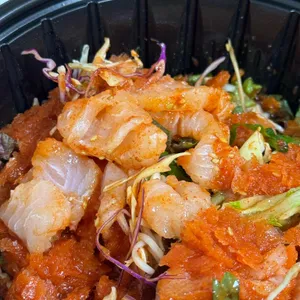 통통회 사진