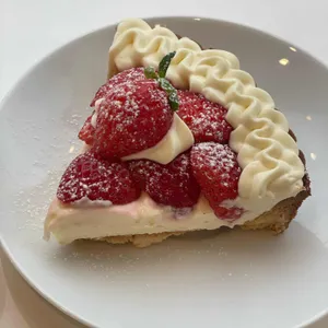 그루터기 사진