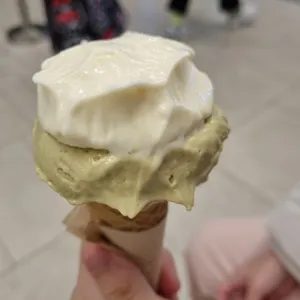 젤라띠젤라띠 사진