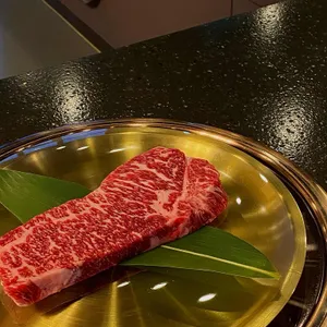 본앤우480 사진