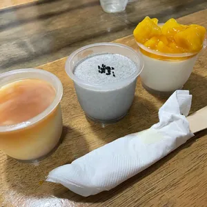 푸딩푸딩 사진