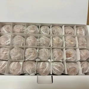 코코호도 사진