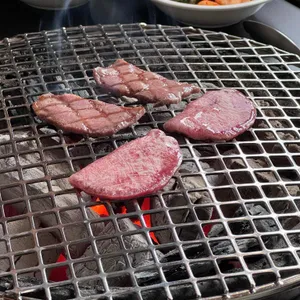 우직 사진