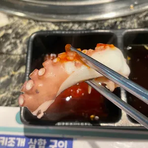 오아시스조개 사진