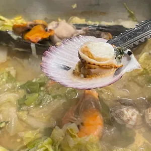 오아시스조개 사진