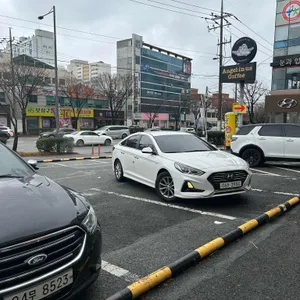 명랑핫도그 리뷰 사진