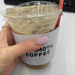 매머드 익스프레스 사진