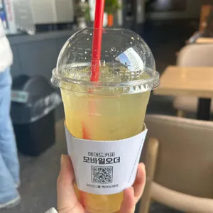 매머드 익스프레스 사진