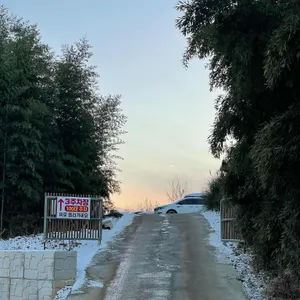 오늘여기  리뷰 사진