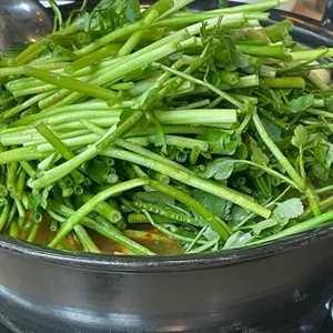 등촌샤브칼국수 리뷰 사진