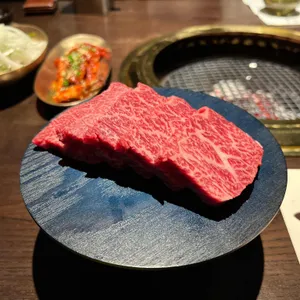 초월 사진