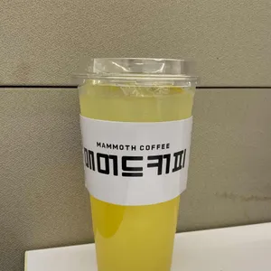 매머드 익스프레스 사진