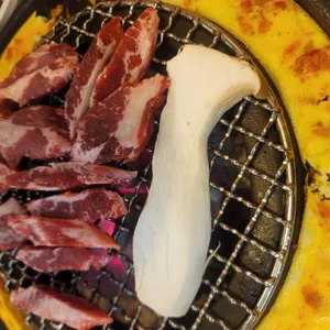 마포갈매기 사진