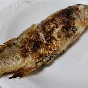 구이나라 사진