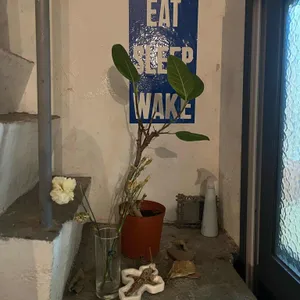 Chalk Farm 리뷰 사진