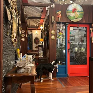 꼬따쥬 리뷰 사진