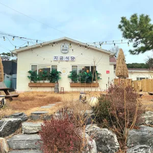 지금식당 리뷰 사진