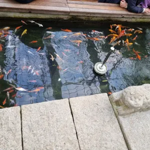 바오밥 식물원 베이커리 & 카페 리뷰 사진