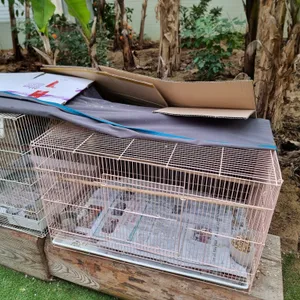 바오밥 식물원 베이커리 & 카페 리뷰 사진