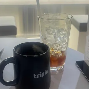 트리핀 사진