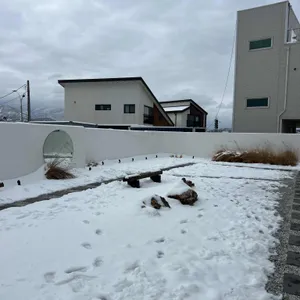 온더버튼 리뷰 사진