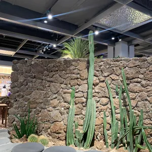 랑데자뷰 리뷰 사진