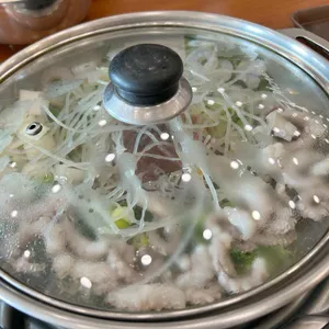 개미집 사진