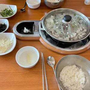 개미집 사진