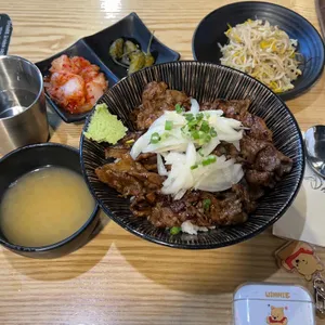 홍대개미 사진