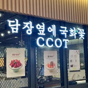 담장옆에국화꽃 리뷰 사진