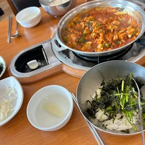 개미집 사진