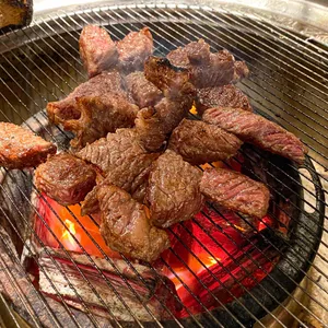 미우한우 사진