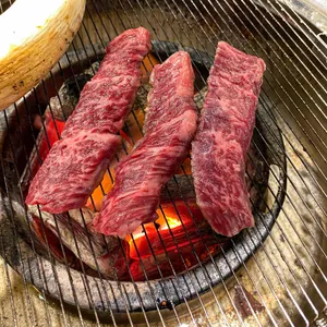 미우한우 사진