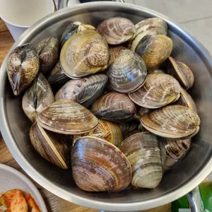 동탄백합칼국수 사진