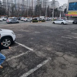 황도바지락칼국수 리뷰 사진