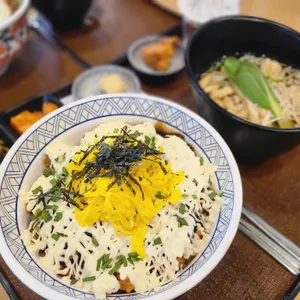 칸동 사진